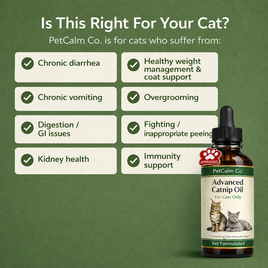 Pynklily Purr Drops